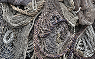 PM Fishing nets